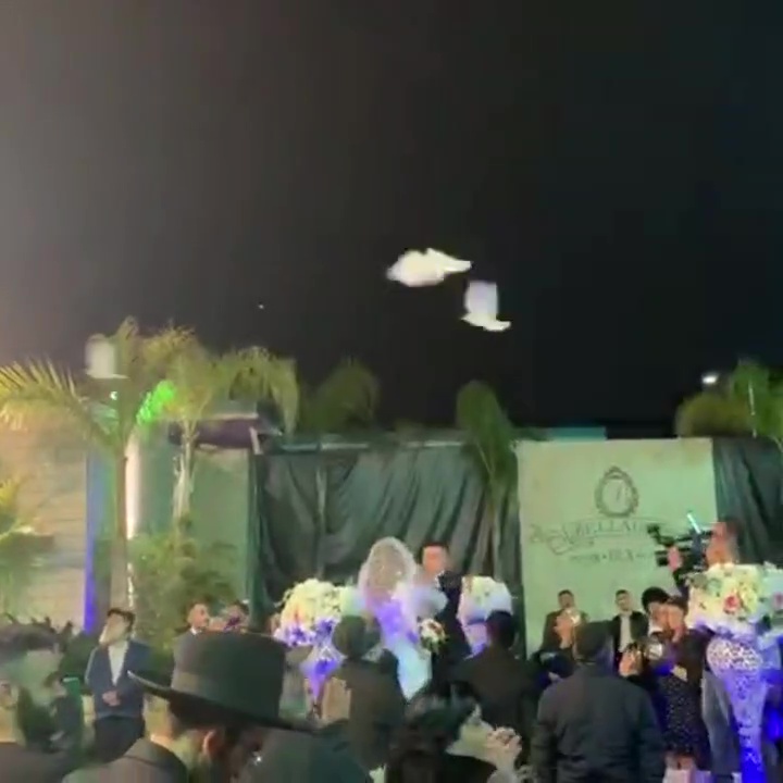יונים לאירועים