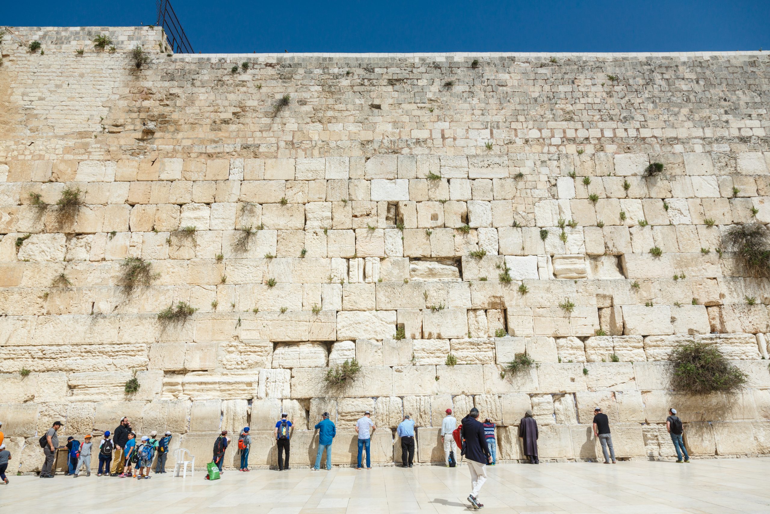 הפקת בר מצווה בכותל
