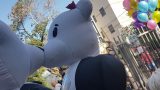 בובות פנדה לאירועים