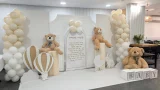 קיר צילום בלונים 90